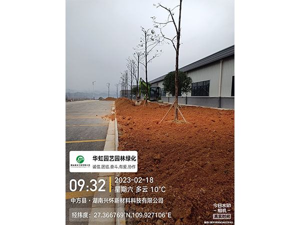 湖南興懷新材料有限公司綠化施工現(xiàn)場